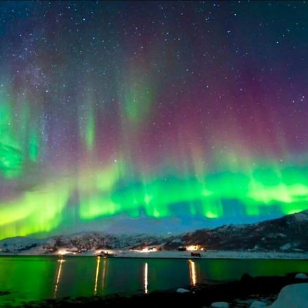 In The Heart Of The Aurora Borealis - Tromso City ภายนอก รูปภาพ