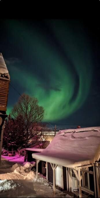 In The Heart Of The Aurora Borealis - Tromso City ภายนอก รูปภาพ